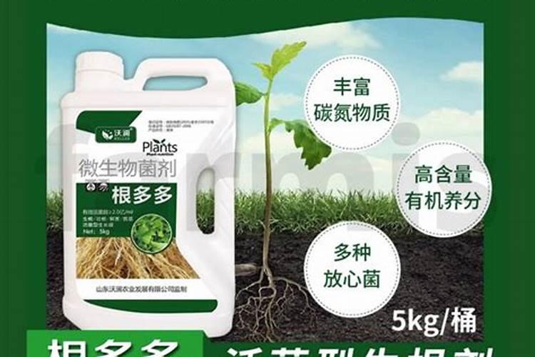 喜满地水溶肥在网上可以买到吗？