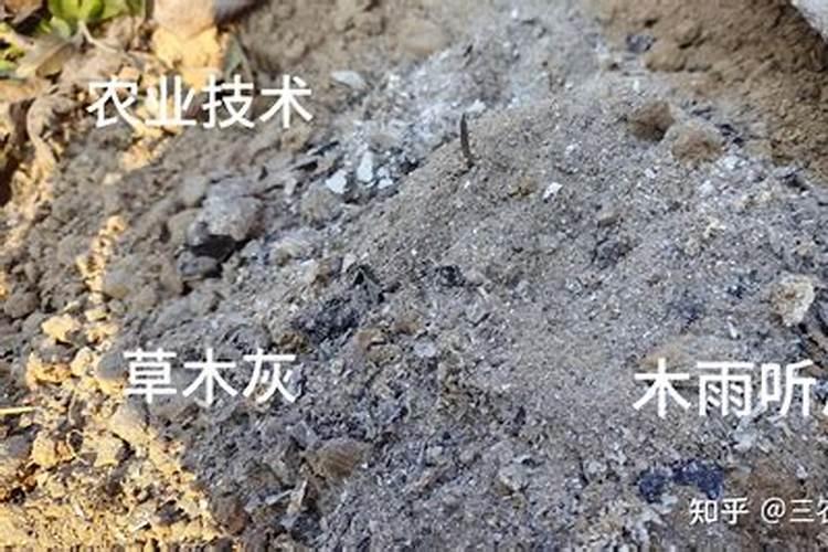 黄瓜怎么使用草木灰