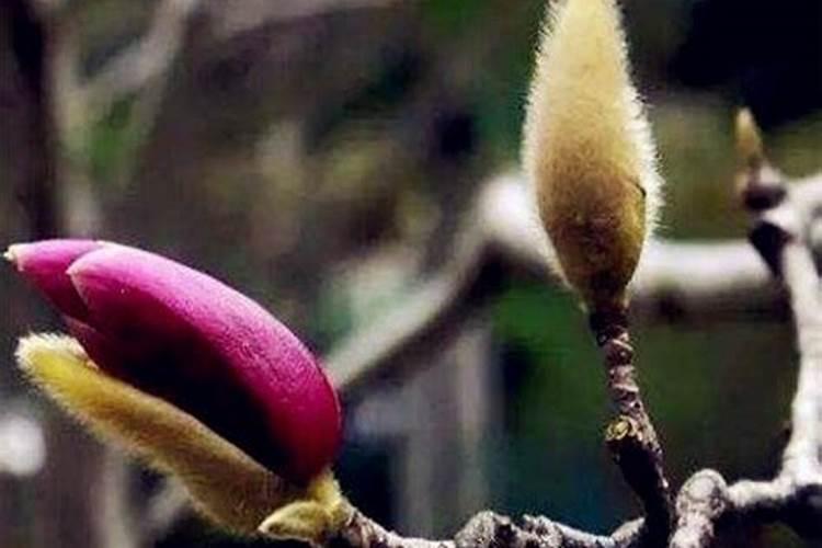 网络除草是什么意思