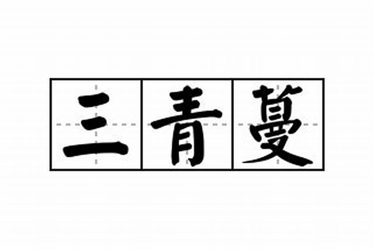 植物的叶子都有什么作用？