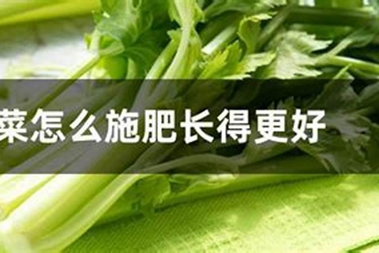 芹菜浇水冲施什么肥料 芹菜浇水冲施啥肥料
