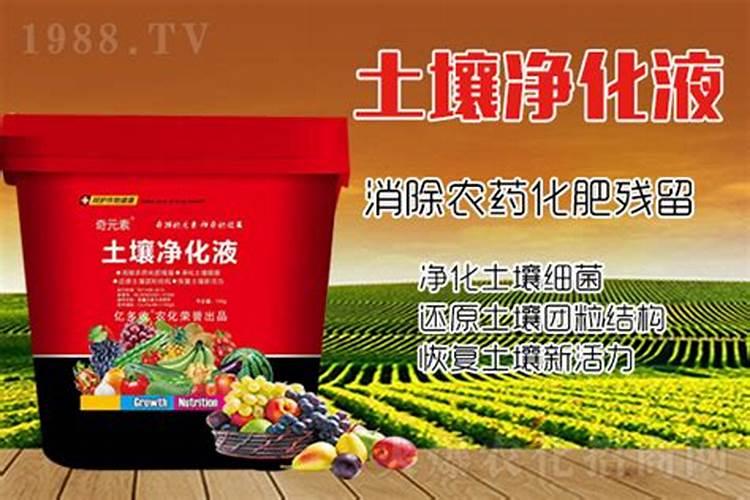 农作物硼肥过多中毒要怎么办