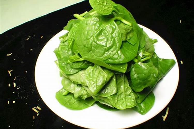 种木耳菜用什么土比较好