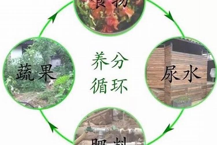 把尿存起来,可以用来浇花吗？