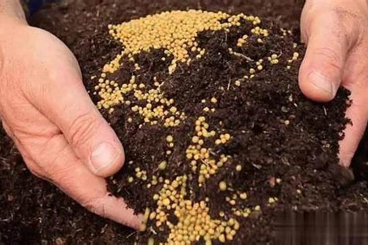 种花施肥可以用尿来代替吗？