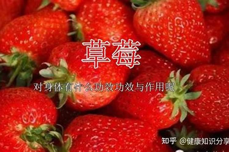 种草莓需要什么肥料