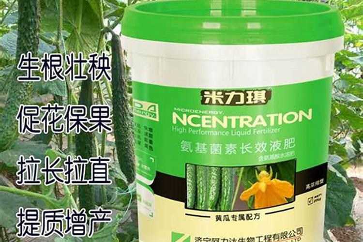 黄瓜用平衡肥好还是高钾肥 黄瓜用什么肥料好