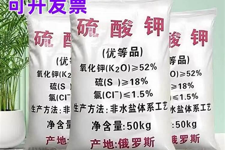 板栗如何施肥才能高产