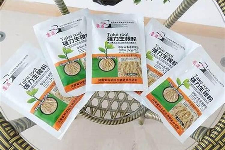 怎样种金钱树才能生根快 金钱树快速生根方法