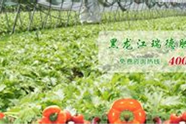 怎么找化肥厂家代理