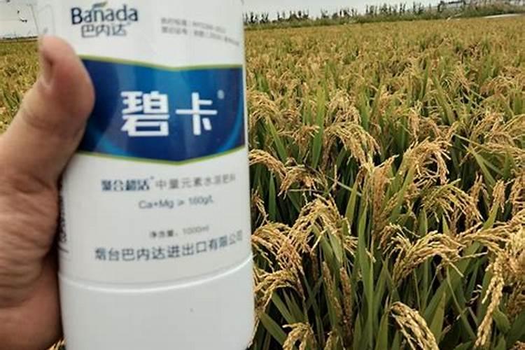 中量元素水溶肥的作用与功效 中量元素水溶肥什么时候用合适
