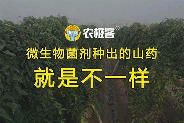硼土地用多了对植物的影响有没有解救方法