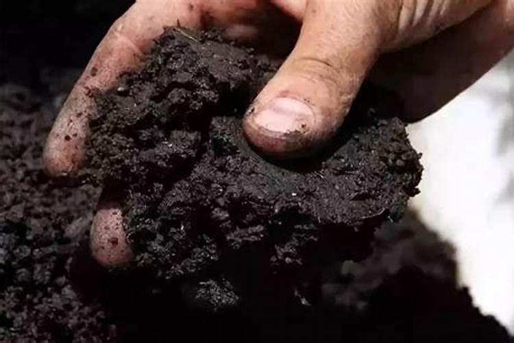 土壤质地与土壤肥力的关系
