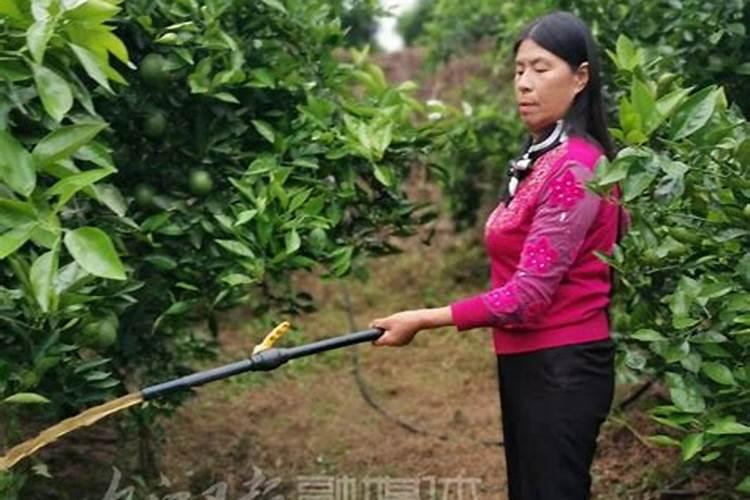 酵素过期了还可以拿来做什么？