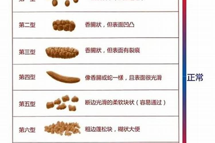 人畜的粪 是哪种肥？ 是 氮肥？是磷肥？还是 钾肥？