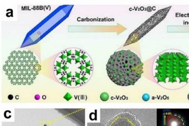 郊区的果树重金属含量