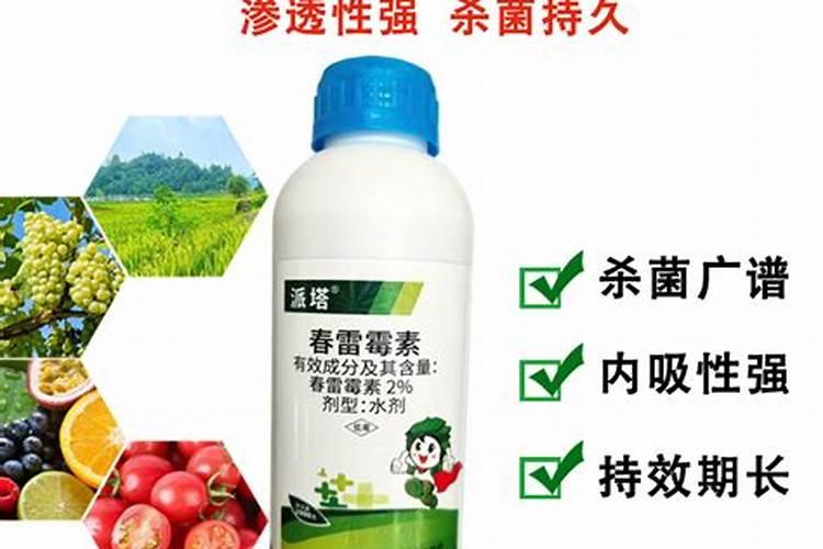 芸苔素的作用和使用方法