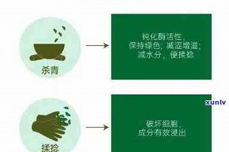 如何去茶叶残留农药 如何去茶叶残留农药味道