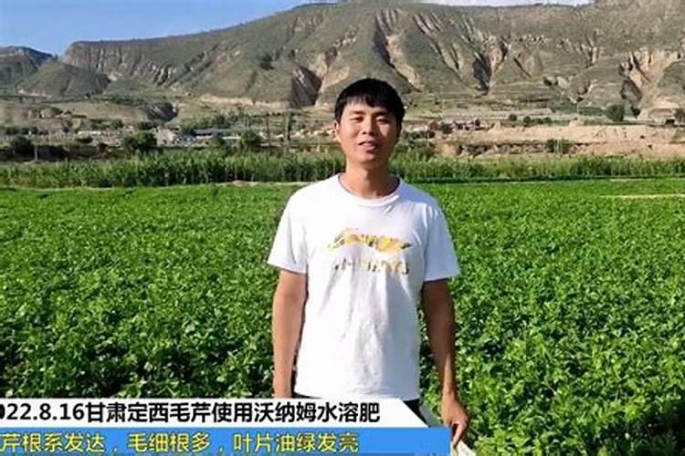 水溶肥的前十名水溶肥厂家有那些水溶肥的前十名
