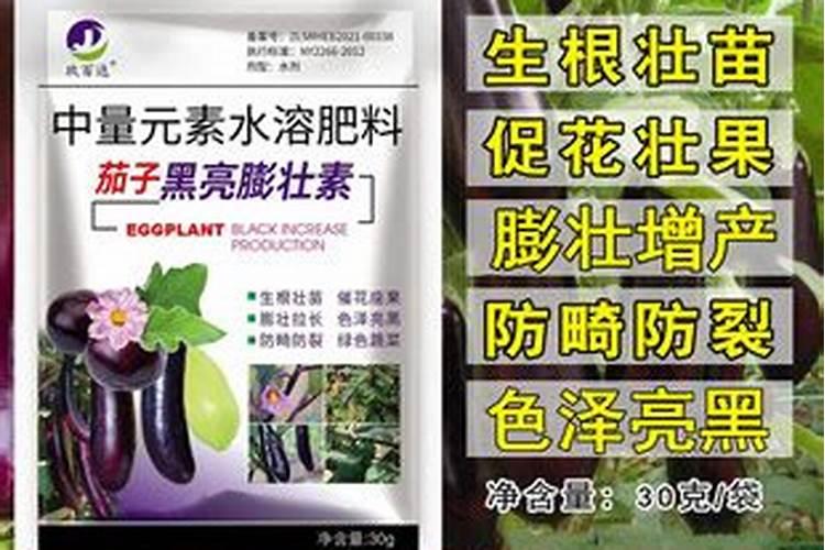 油菜施什么样的硼肥最好