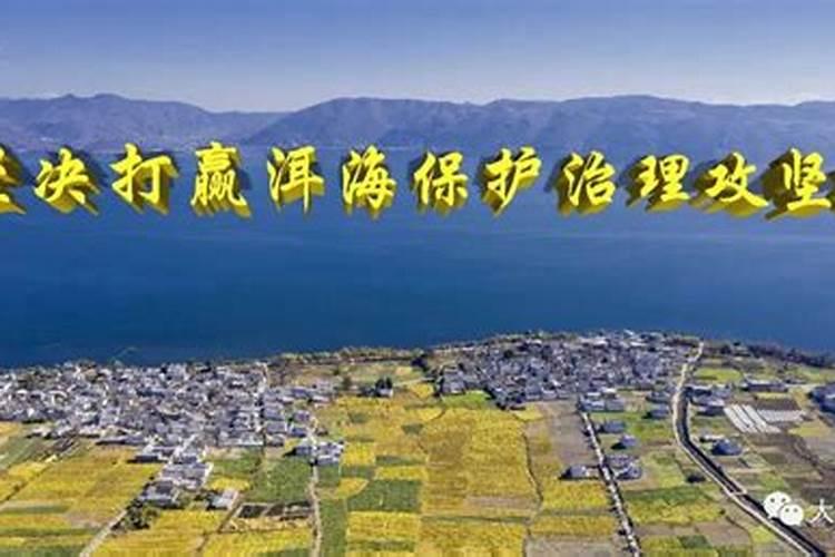 海带可从当农作物肥料吗