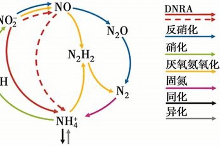 氮肥包括哪些肥料 氮肥有哪些