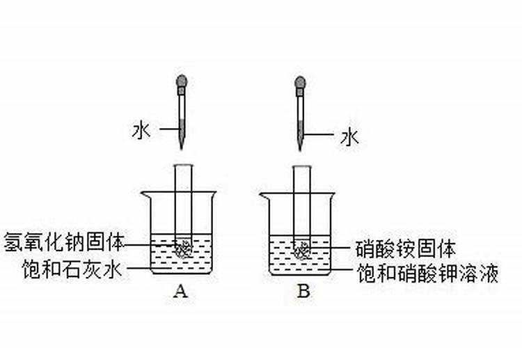 氮肥有哪些常见氮肥有什么