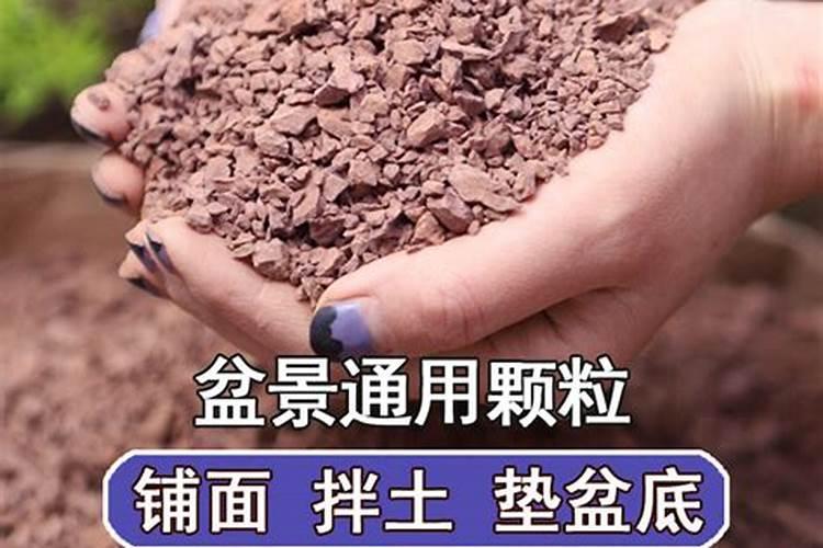 风化土是什么土壤