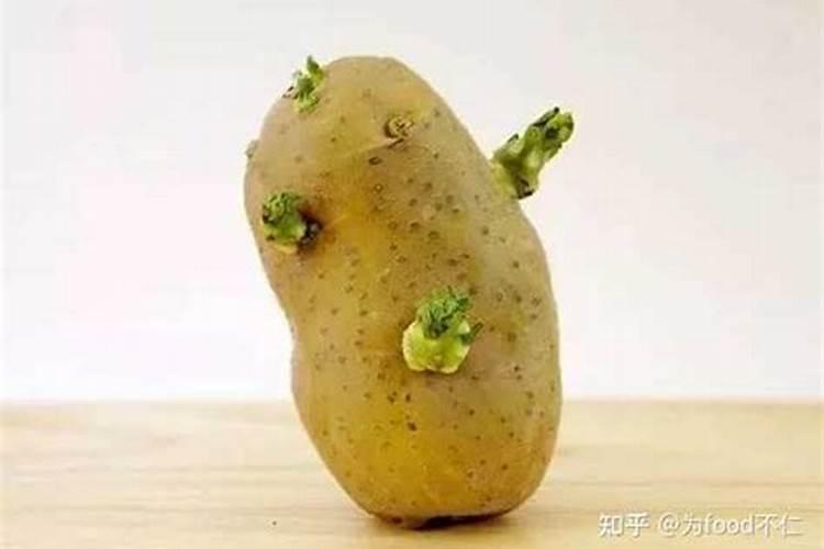 土豆施钾肥增产的效果 养殖技巧总结