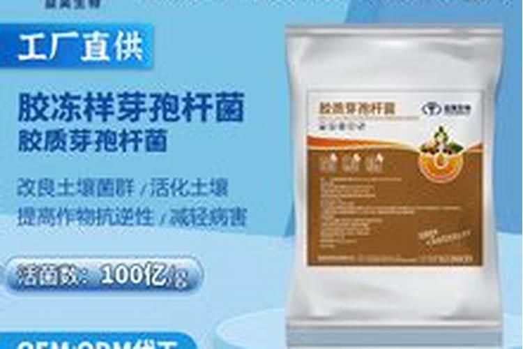 硅肥施肥方法