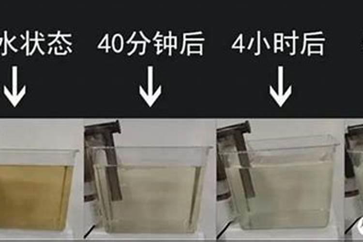蛋白棉一斤能用多久