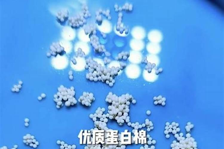 转基因食品对人身体有什么影响？