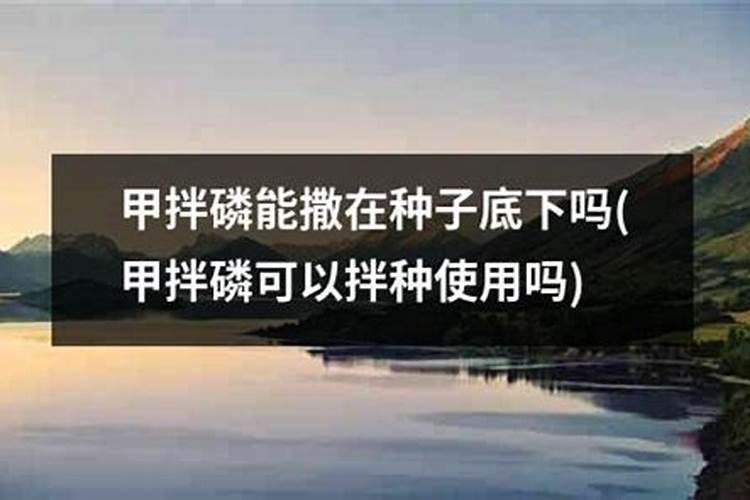 薄皮香瓜在苗期用农药甲拌磷冲施,结果造成了药害.请问该怎么办百度...