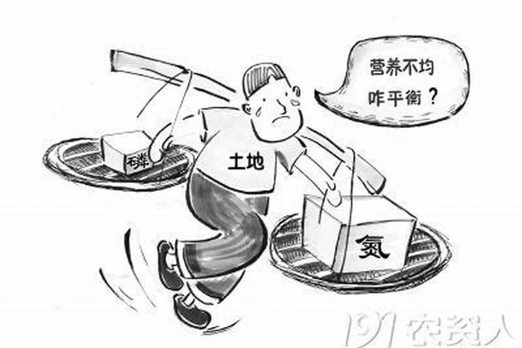 秋天葡萄树,两年苗施什么肥好？