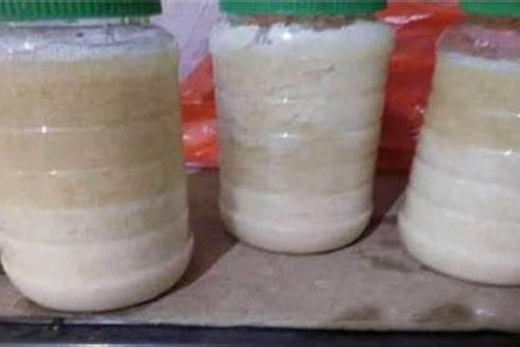 铜钱草水培可以养鱼吗,什么水培植物可以养鱼
