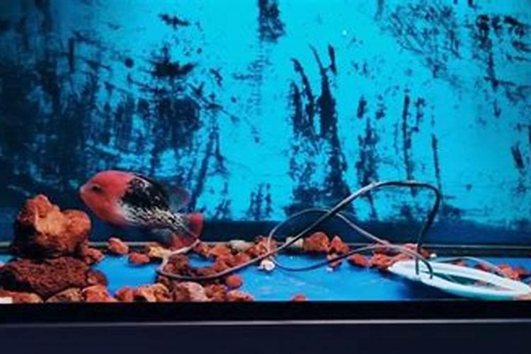 水溶肥怎么使用才更加科学？