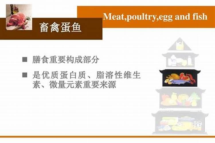 海藻鱼蛋白水溶肥料作用