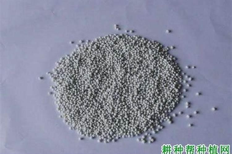 下雨前可以给果树撒施水溶肥吗？
