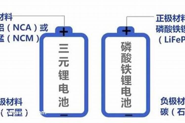 磷化工的业务范畴包括哪些