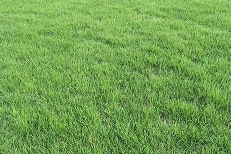 一亩地施多少磷肥合适  磷肥什么时间施最好