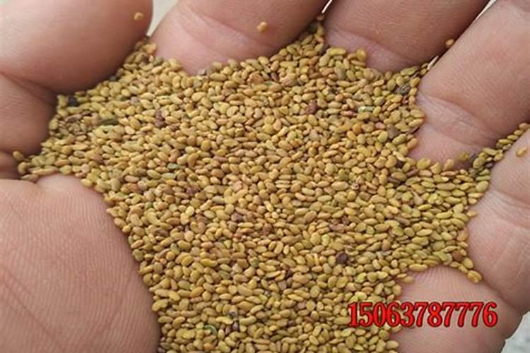 磷肥的最佳使用时间及用量
