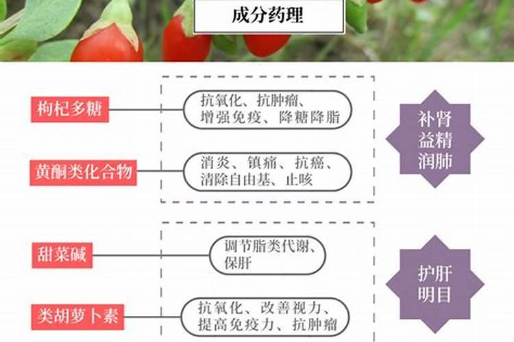 腐植酸肥料品种有哪些,腐植酸肥料的作用