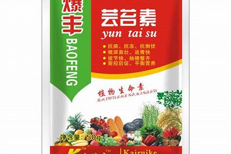 请问这是甜瓜苗期什么病用哪些药有特效