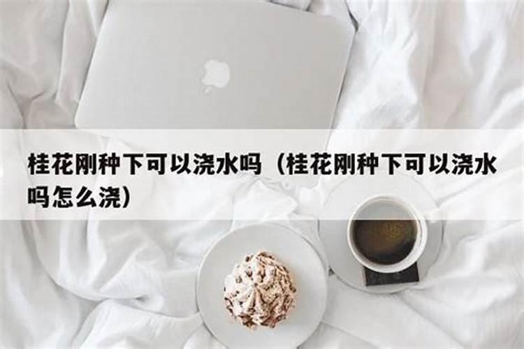 刚移栽多久的桂花树才能施肥