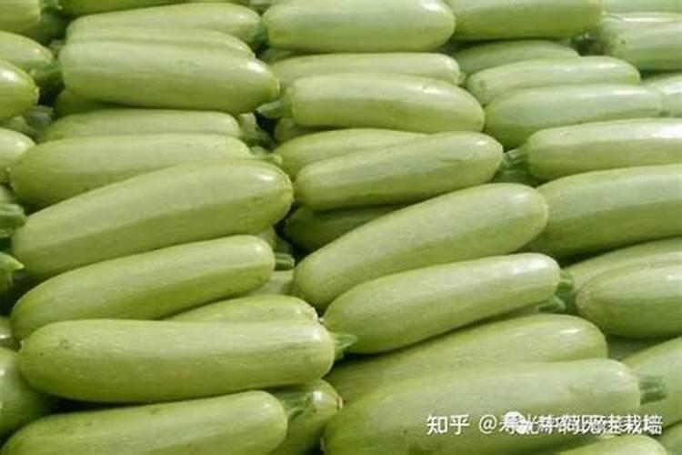 西胡芦施什么肥料最好