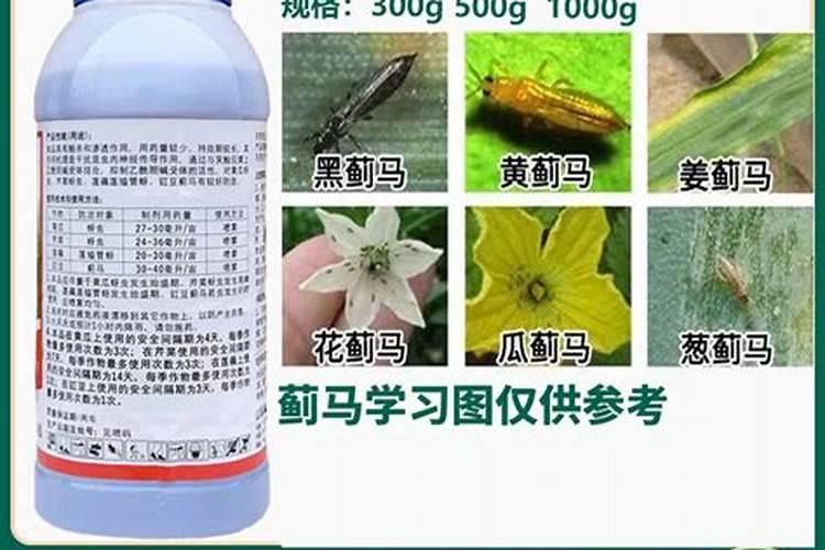 甜瓜可以喷磷酸二氢钾吗？