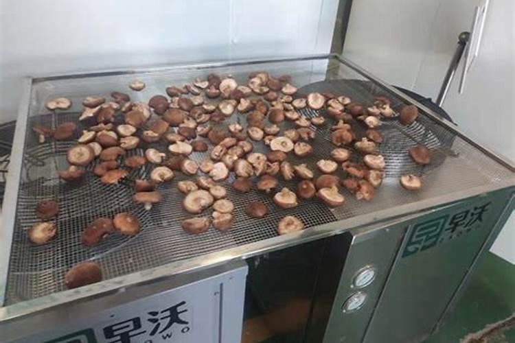 什么干货好卖又不过期的