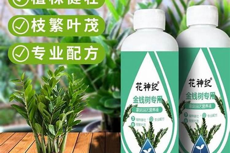 水溶肥冲施肥怎样用