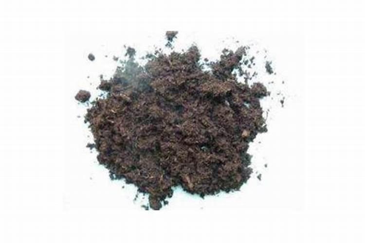 有机肥的发展怎么样？有做的吗？