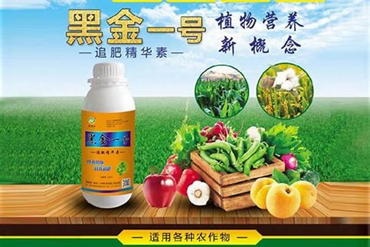 玉米施追肥的最佳时间